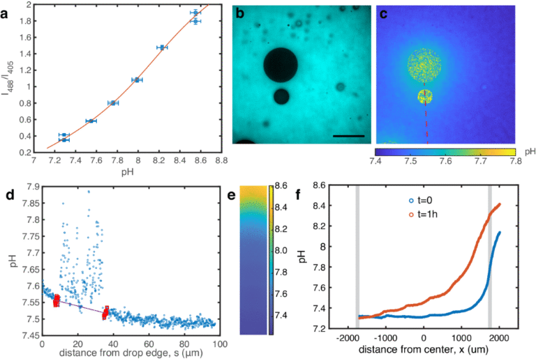 agua clara con gotas y gradiente ph
