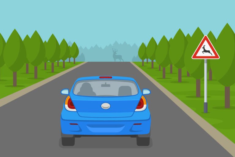 auto circulando por carretera con senalizacion vial