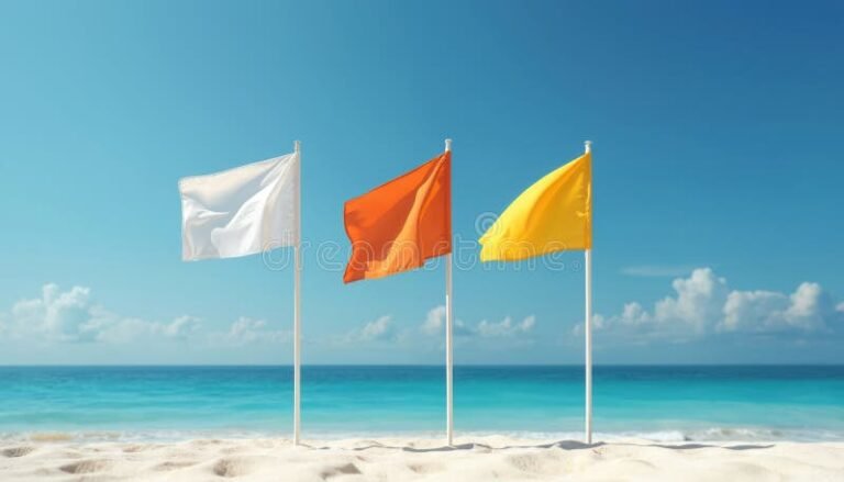 Cuáles son las banderas de playa que se usan en Argentina y qué significan 5 banderas de playa coloridas en arena argentina
