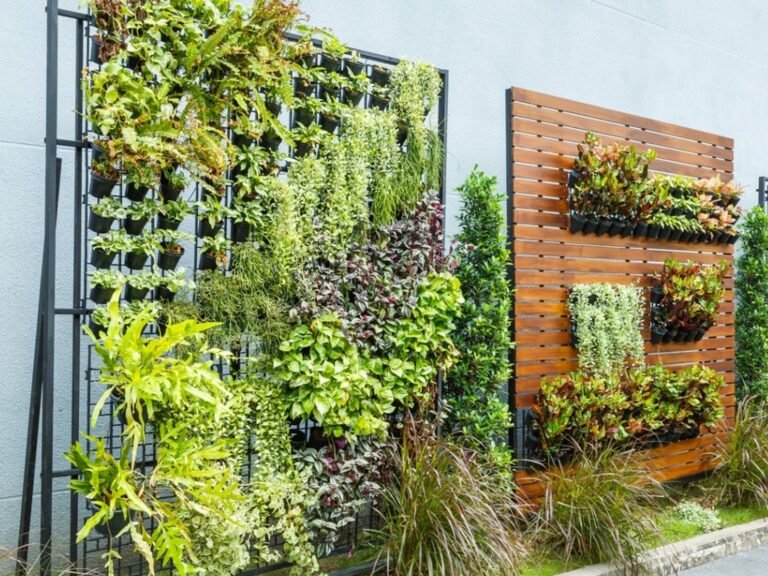 Qué Plantas Son Mejores Para Muros Exteriores En Argentina 23 jardin vertical con plantas verdes exteriores
