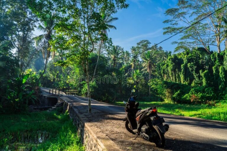 motocicleta en carretera con paisaje natural