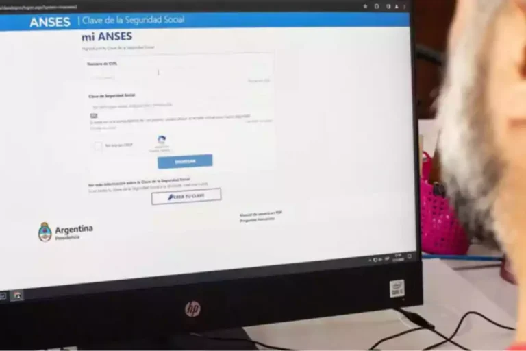 Por Qué No Me Aparece La Fecha De Cobro En ANSES 3 persona revisando fecha de cobro anses computadora