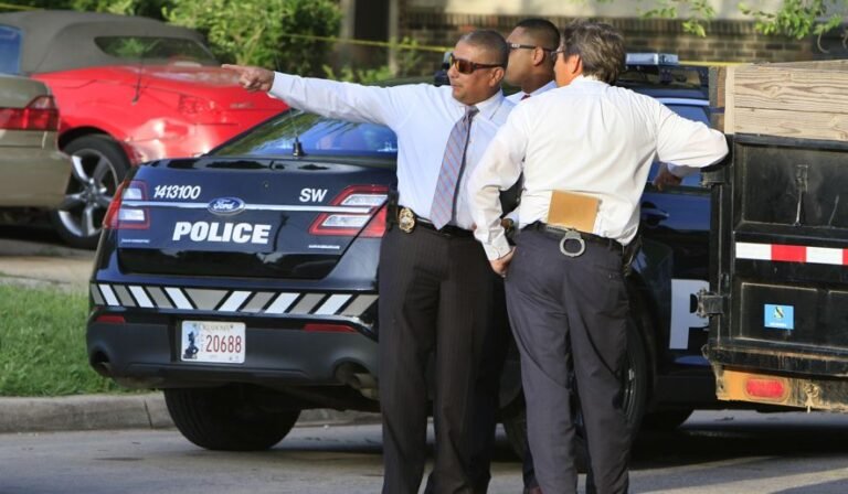 De qué trata la serie La Ley y El Orden original